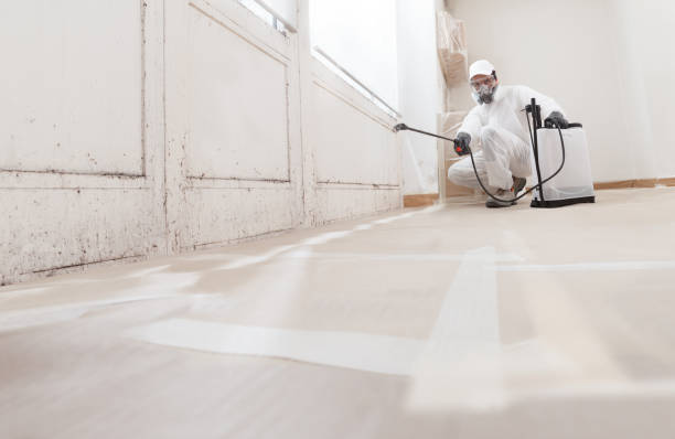 24/7 Emergency Mold Removal experts in Boykins, VA